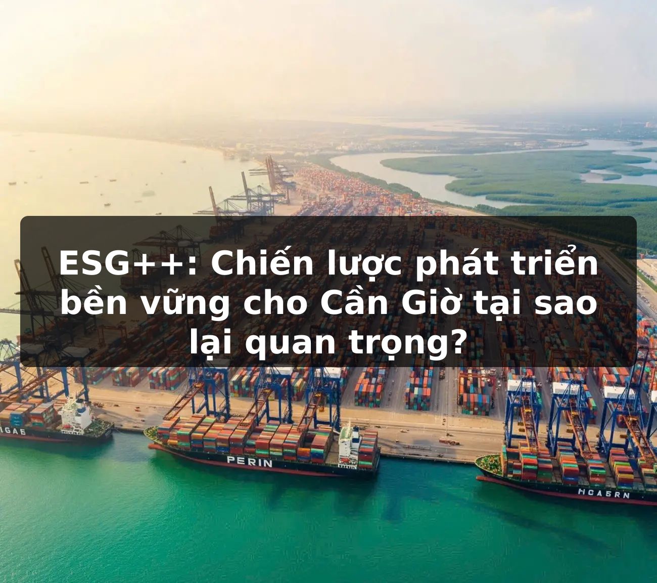 ESG++: Chiến lược phát triển bền vững cho Cần Giờ tại sao lại quan trọng?