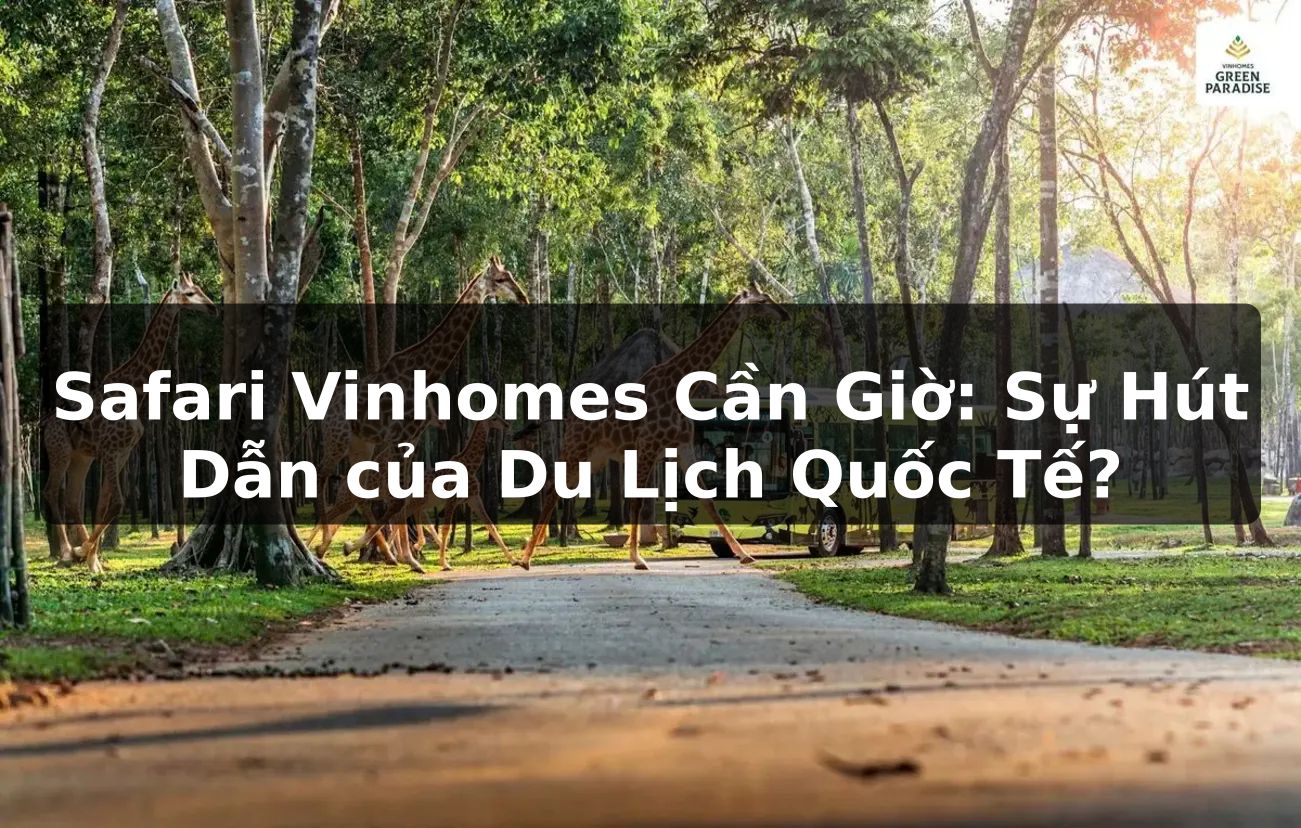 Safari Vinhomes Cần Giờ: Sự Hút Dẫn của Du Lịch Quốc Tế?