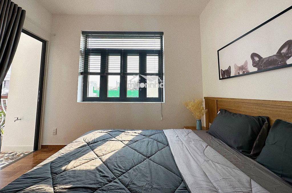 image-serviced-apartment-thi-truong-phan-loai-2024-80